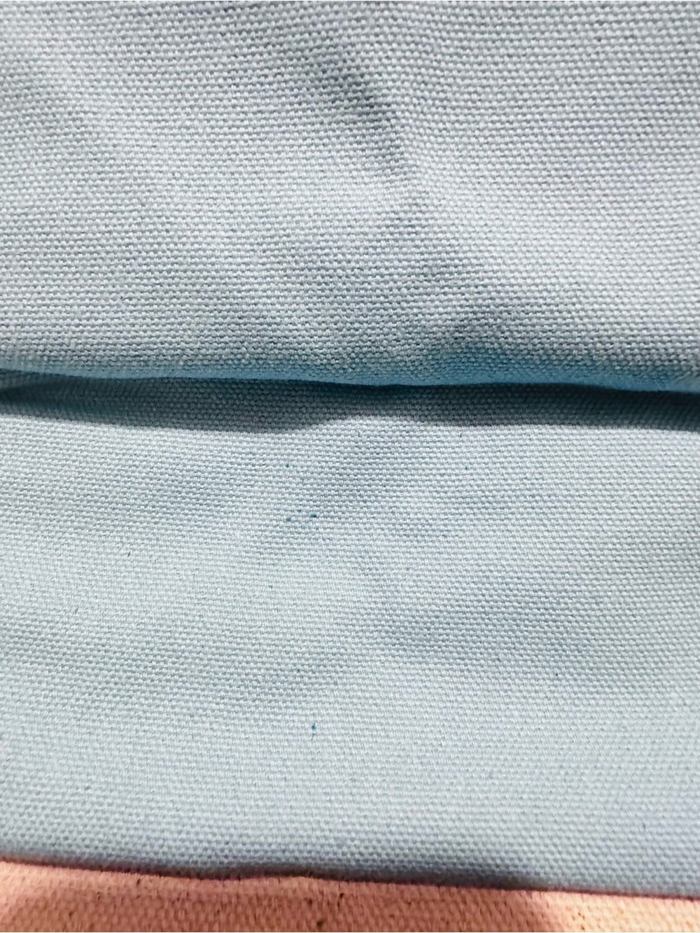 Trader Joe's | Tote | Trader Joe's Mini Tote | Light Blue - Picture 4 of 8